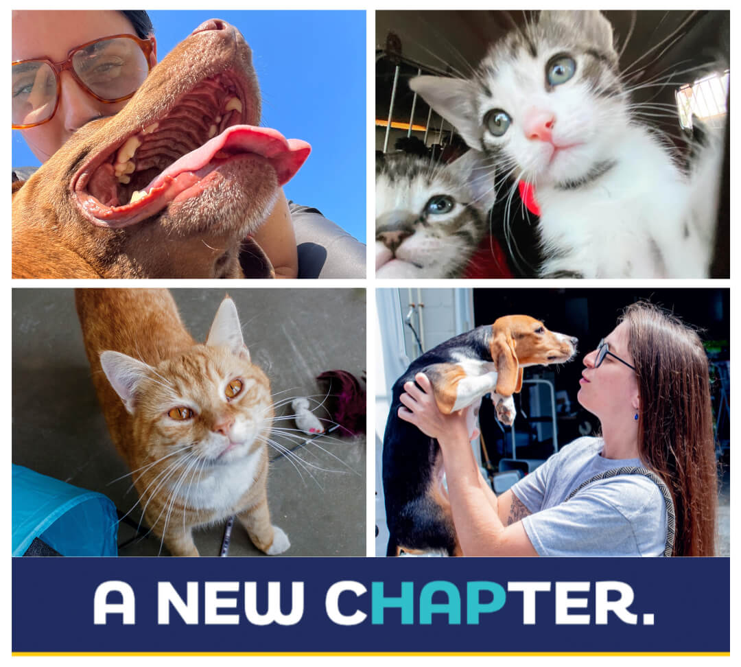 Humane Animal Partners - a new chapter