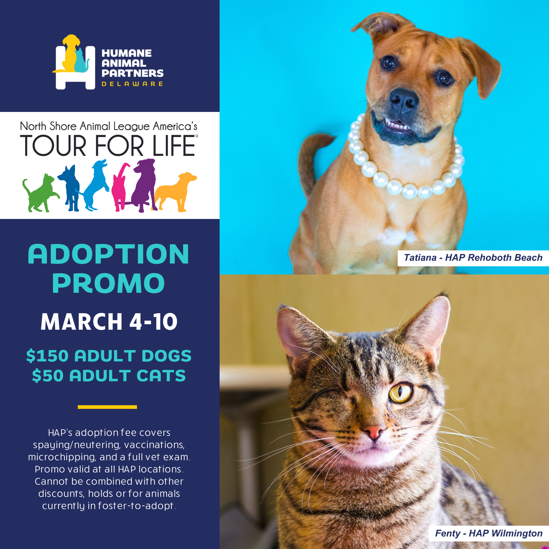 HUMANE ANIMAL PARTNERS JOINS NORTH SHORE ANIMAL LEAGUE AMERICA TO KICK OFF 2024 TOUR FOR LIFE