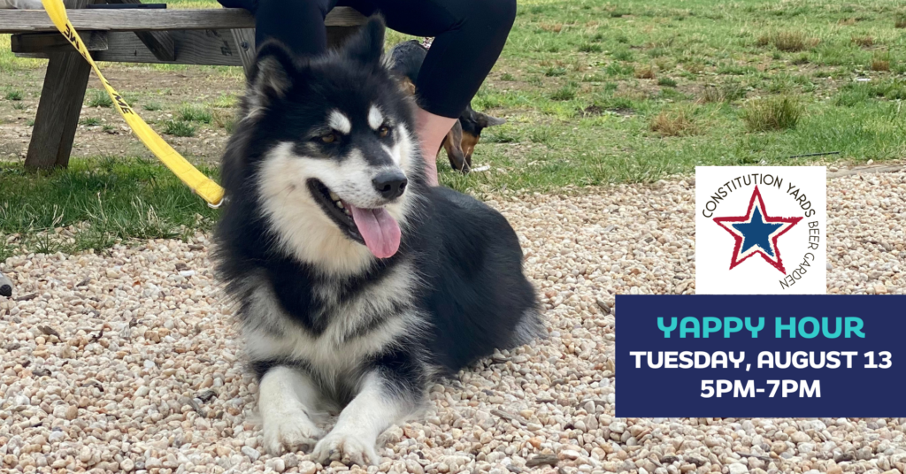 Humane Animal Partners Yappy Hour at Constitution Yards Beer Garden in Wilmington, DE