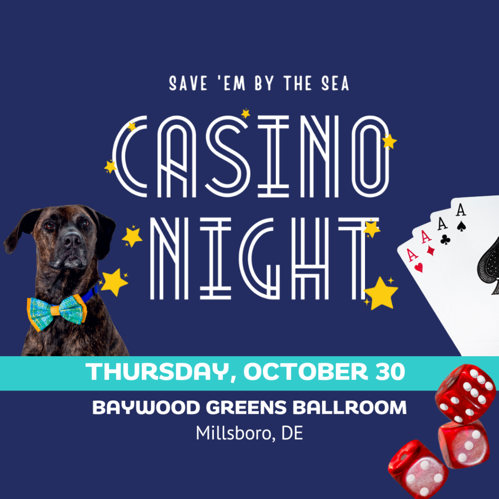 Casino Night 2025