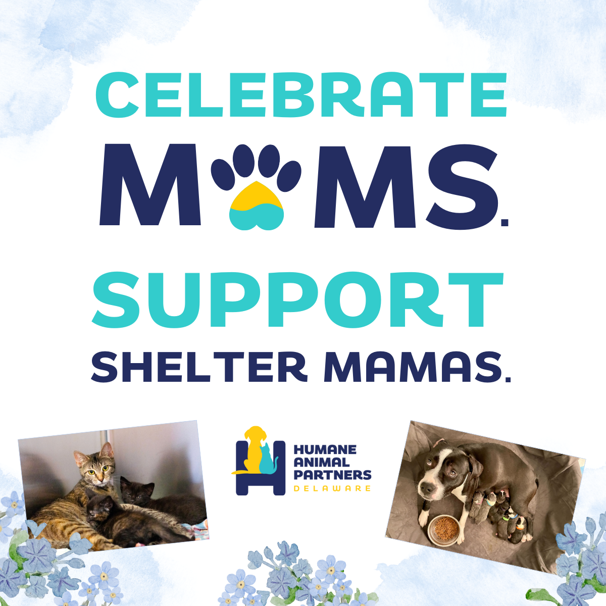 Celebrate moms. Support shelter mamas.